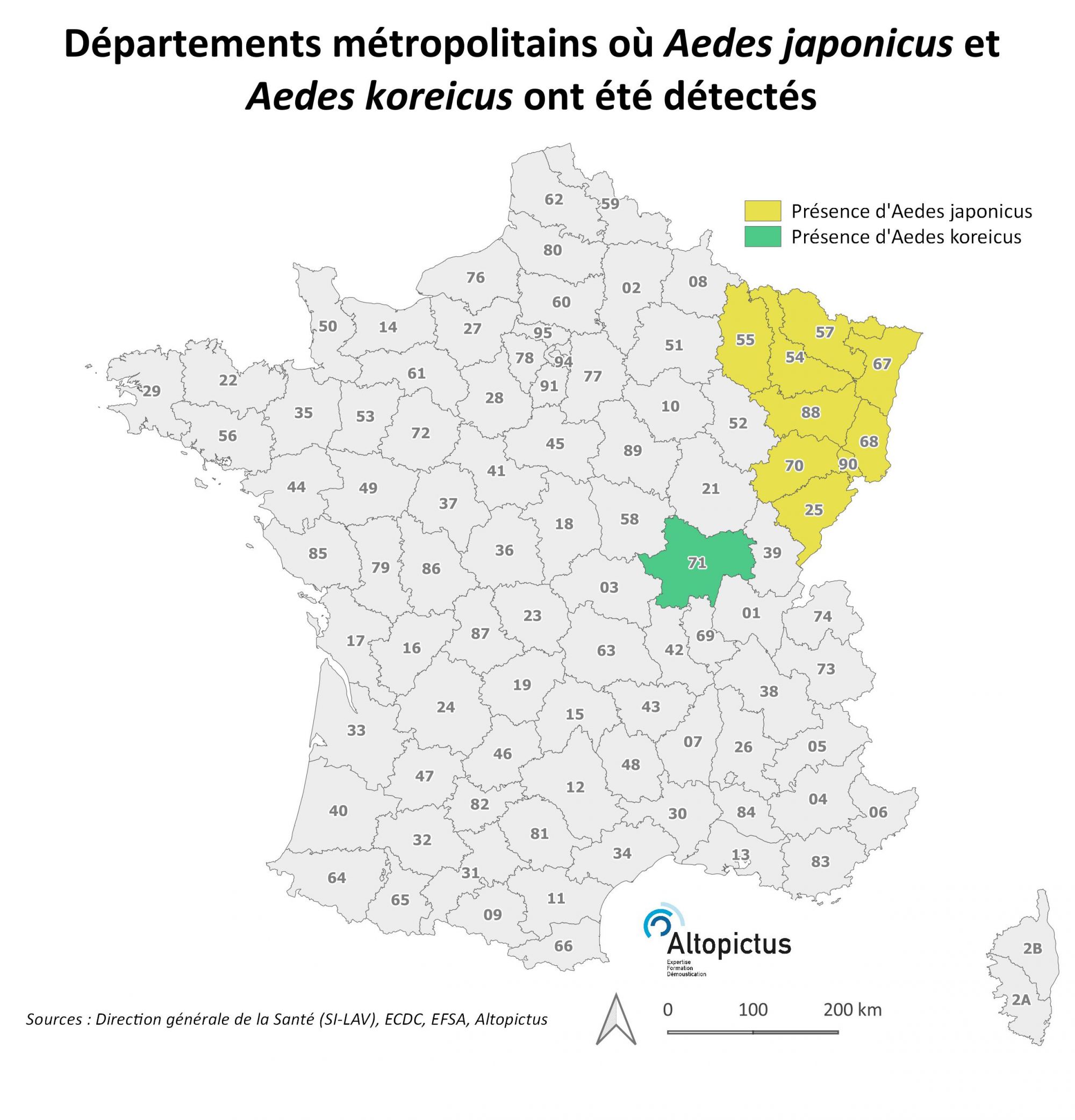 FRANCE - Japonicus Koreicus